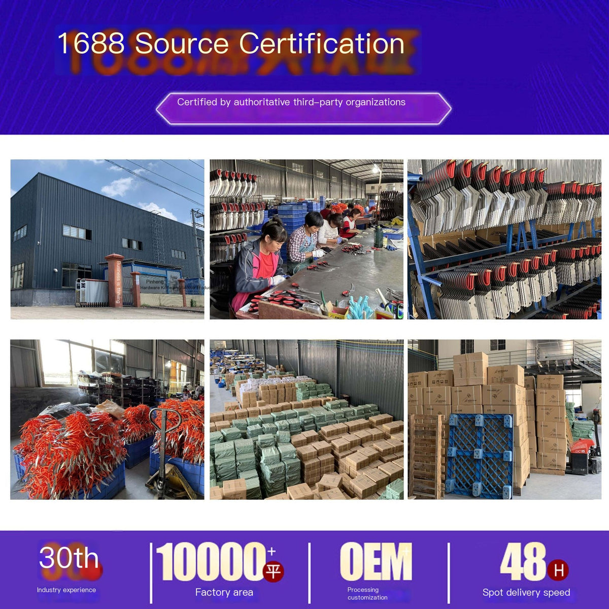 Eyebrow Scissors with Comb for Beginners and Makeup My Store